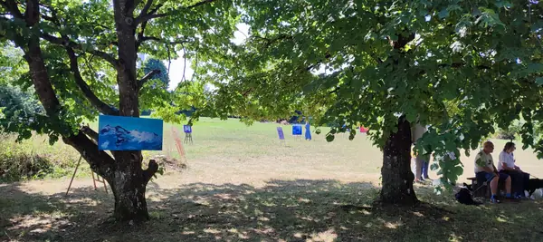 Wiese unter Bäumen mit Gästen