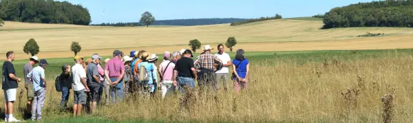 Sommer der Verführungen mit ZSW, Foto 20